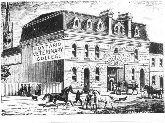 Ontario Veterinary College, 1877. Courtesy of OVC